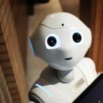 Crawlability & Indexing Audit