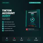 TikTok Account Audit