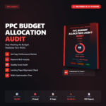 PPC Budget Allocation Audit